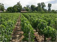 Château Haut-Marbuzet Grand Cru Classé Saint-Estèphe